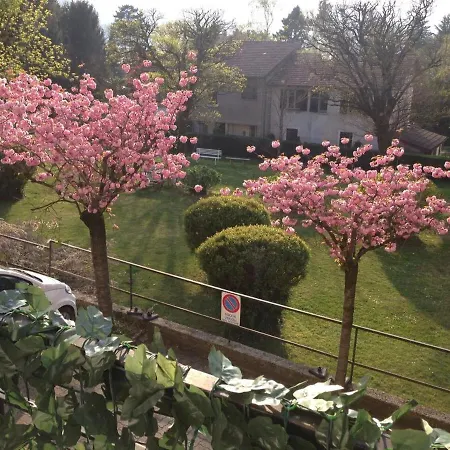 Cerro View Perfect For Families, Walk To The Beach! Apartment *